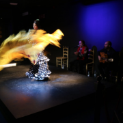 JALEO: Flamenco Show