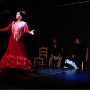 JALEO: Flamenco Show